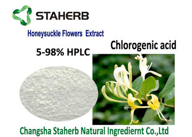 Estratto acido clorogenico del grado di Pharma, estratto naturale del fiore del caprifoglio di api fornitore