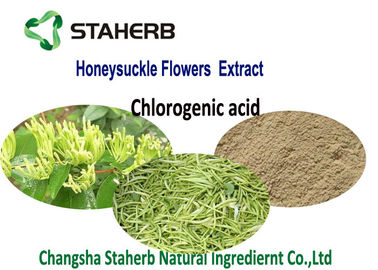 Estratto acido clorogenico del grado di Pharma, estratto naturale del fiore del caprifoglio di api fornitore
