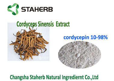 10- Polvere organica naturale CAS 73 dell'estratto di 98% Cordycepin Cordyceps 03 0 fornitore