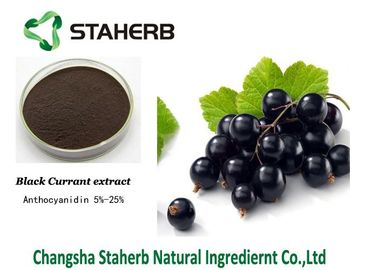 Antociano della bacca della polvere dell'estratto della pianta concentrato frutta del ribes nero antinvecchiamento fornitore