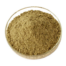 Estratto organico della foglia dell'edera, giallo di Brown della polvere dell'estratto 10% Hederacoside C di hedera helix fornitore