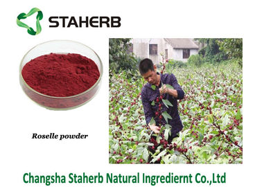 Gli estratti naturali puri della pianta della polvere di rosella, l'estratto di hibiscus sabdariffa contengono gli antociani Schisandrins fornitore