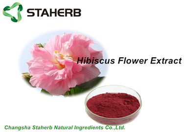 Polvere dell'estratto del fiore dell'ibisco secca ingredienti cosmetici naturali degli antociani 5% fornitore
