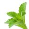 Gli additivi alimentari naturali del dolcificante, stevia coprono di foglie RA/Stevioside della polvere 90% 97% 98% dell'estratto fornitore