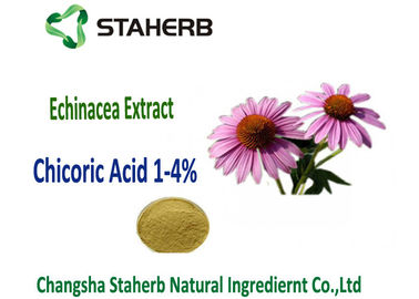 Acido naturale di Chicoric dell'estratto di echinacea purpurea, polifenolo, estratto dell'echinacea fornitore