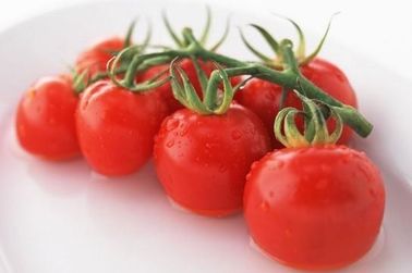 Antinvecchiamento solubile in acqua della polvere del pomodoro del licopene naturale rosso scuro dell'estratto 5%-98% fornitore