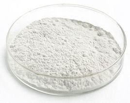 Estrazione naturale anticancro del seme della vitamina 50%-98% dell'amigdalina B17 dell'estratto di mandorla amara fornitore
