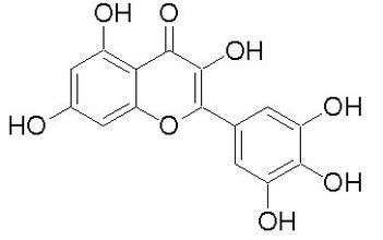 Polvere antinfiammatoria dell'estratto della pianta della miricetina 98% dell'estratto della corteccia del Bayberry fornitore