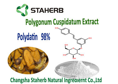 Polvere naturale pura 98%, HPLC 65914-17-2 di Polydatin della radice di Cuspidatum di poligono dell'estratto di 50% fornitore