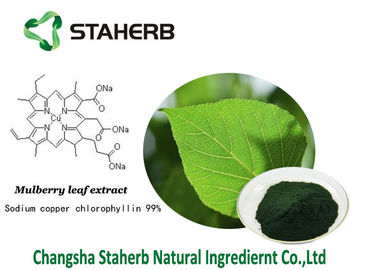 Chlorophyllin antibatterico del rame del sodio dell'estratto della foglia del gelso degli estratti della pianta di Chlorophyllin fornitore