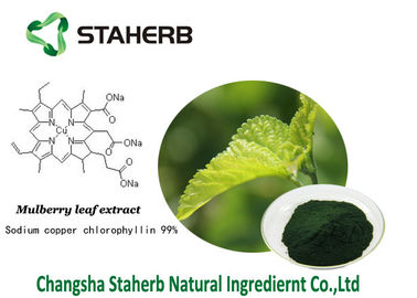 Chlorophyllin antibatterico del rame del sodio dell'estratto della foglia del gelso degli estratti della pianta di Chlorophyllin fornitore