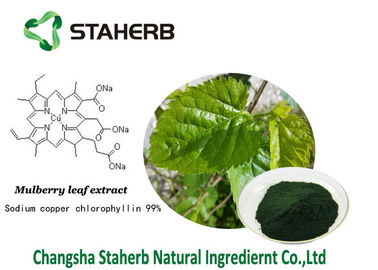 Chlorophyllin antibatterico del rame del sodio dell'estratto della foglia del gelso degli estratti della pianta di Chlorophyllin fornitore