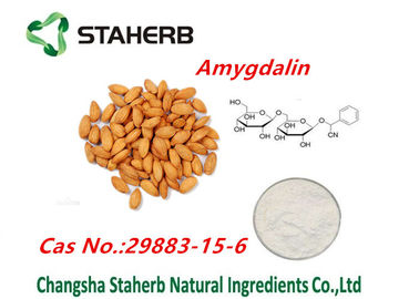 Polvere amara di erbe di Amydalin dell'estratto del seme dell'albicocca degli estratti naturali puri della pianta fornitore