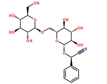 Polvere amara di erbe di Amydalin dell'estratto del seme dell'albicocca degli estratti naturali puri della pianta fornitore