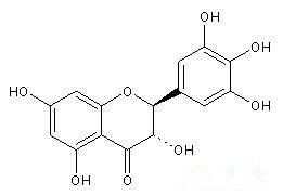 Polvere dell'estratto 98% Dinhydromyricetin del tè della vite di grossedentata di Ampelopsis fornitore
