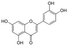 Polvere naturale pura dell'estratto della luteolina delle coperture delle arachidi degli estratti della pianta fornitore