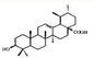 Estratto della foglia dei rosmarini di acido di Ursolic, acido di Rosmarinic, polvere dell'acido di Carnosic fornitore
