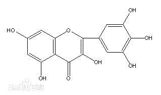 Estratto naturale puro della corteccia del bayberry degli estratti della pianta di supplemento di salute di polvere della miricetina fornitore