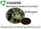 Estratto nero della frutta di Barbary Wolfberry, ingredienti alimentari naturali per la bevanda fornitore