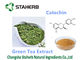 Polvere antiossidante della catechina 50-98% dell'integratore alimentare dell'estratto del tè verde fornitore