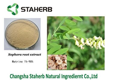 Polvere bianca di Matrine 98% dell'estratto di Flavescens della sophora del campo di agricoltura fornitore