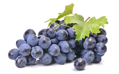 Resveratroli cosmetici naturali 5% Cas No.501-36-0 degli ingredienti dell'estratto della pelle dell'uva fornitore