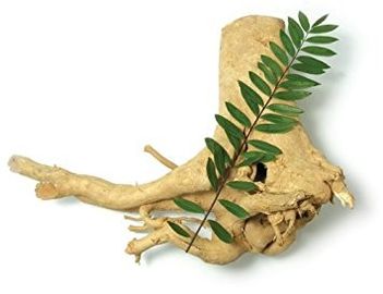 Ingredienti maschii naturali di potenziamento dell'estratto di Tongkat Ali, potenziamento maschio di erbe fornitore