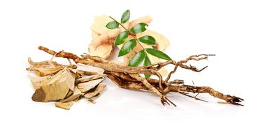 Ingredienti maschii naturali di potenziamento dell'estratto di Tongkat Ali, potenziamento maschio di erbe fornitore