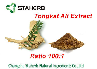 Ingredienti maschii naturali di potenziamento dell'estratto di Tongkat Ali, potenziamento maschio di erbe fornitore