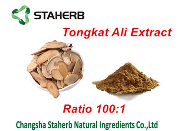 Ingredienti maschii naturali di potenziamento dell'estratto di Tongkat Ali, potenziamento maschio di erbe fornitore