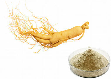 Commestibile naturale puro della polvere del ginseng di ginsenosidi 30% dell'estratto del ginseng della pianta fornitore