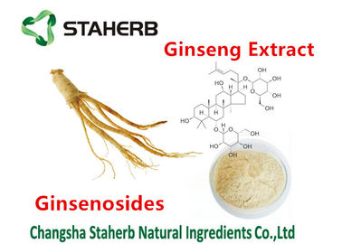 Commestibile naturale puro della polvere del ginseng di ginsenosidi 30% dell'estratto del ginseng della pianta fornitore