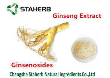 Commestibile naturale puro della polvere del ginseng di ginsenosidi 30% dell'estratto del ginseng della pianta fornitore