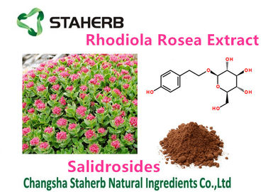 La pianta naturale pura di salute dell'estratto femminile di rhodiola rosea estrae Salidrosides 3% fornitore