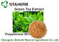 Polifenoli naturali dell'estratto del tè verde degli estratti della pianta della polvere di Brown giallo 50% da HPLC fornitore