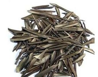 Estratto di erbe della pianta della foglia verde oliva, tipo di erbe organico dell'estrazione con solvente degli estratti fornitore
