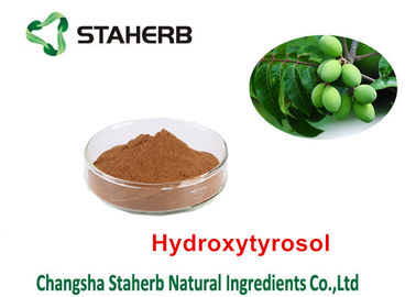 Estratto di erbe della pianta della foglia verde oliva, tipo di erbe organico dell'estrazione con solvente degli estratti fornitore