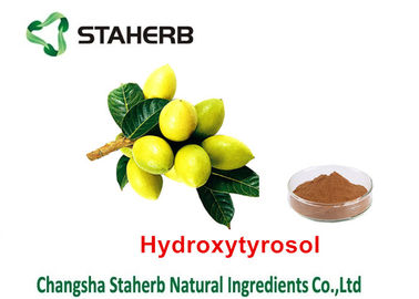 Estratto di erbe della pianta della foglia verde oliva, tipo di erbe organico dell'estrazione con solvente degli estratti fornitore